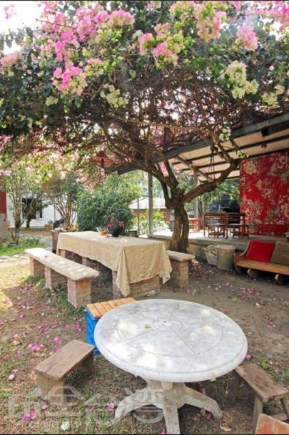 Dongguang Zhixing Homestay Yuchi Dış mekan fotoğraf
